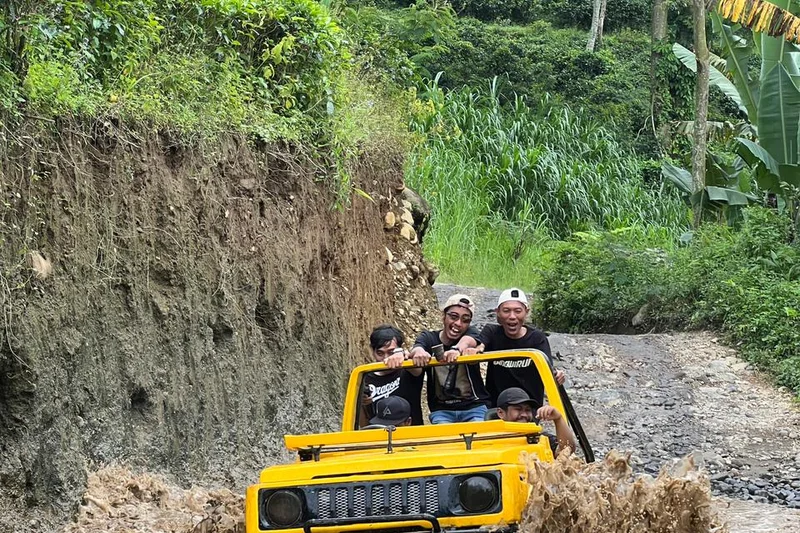 Trabas Offroad Hutan Pinus